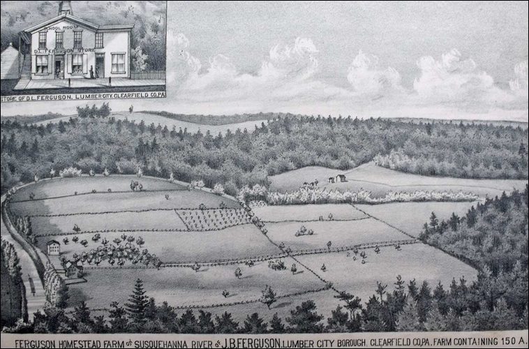 Lumber City Local History Forum