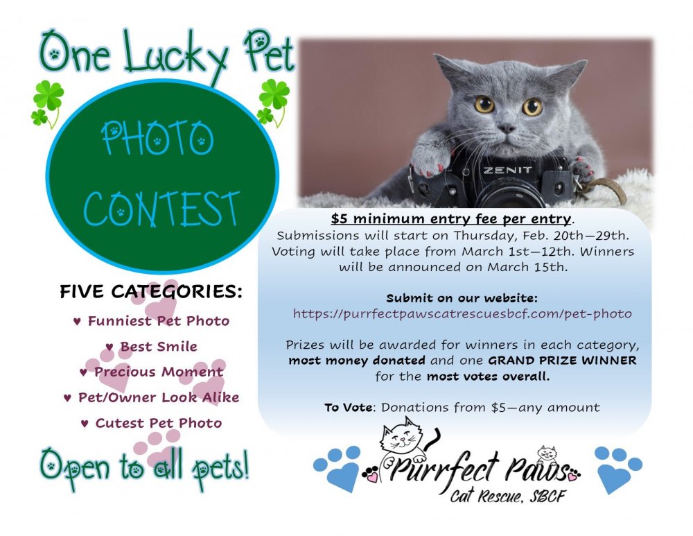 pet photo contest 2.18.20 use.jpg