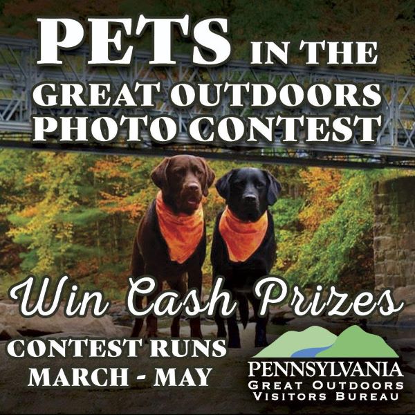 Pets in the Outdoors Photo Contest