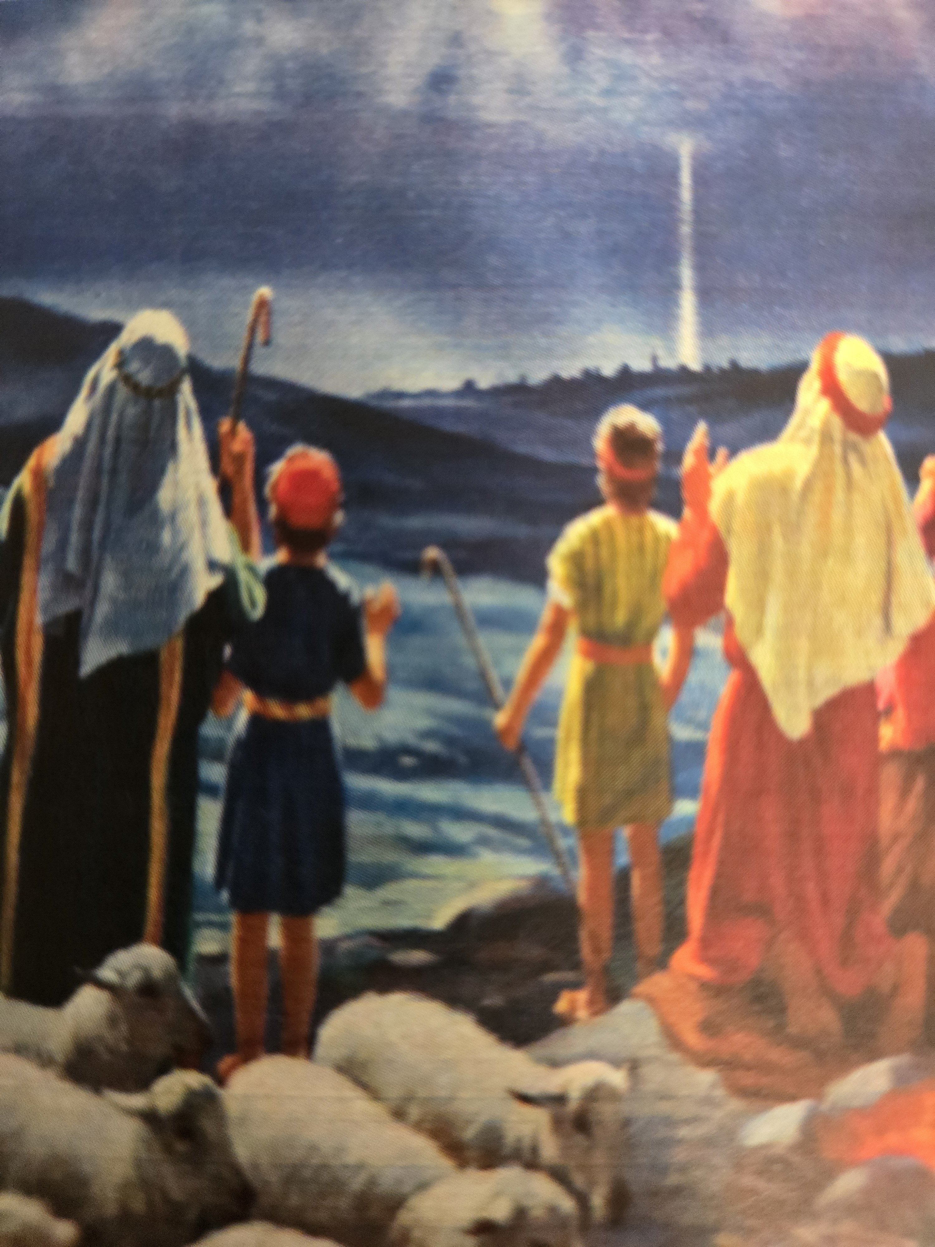 WALK WITH THE SHEPHERDS 12-6-25 > 10am to 12pm